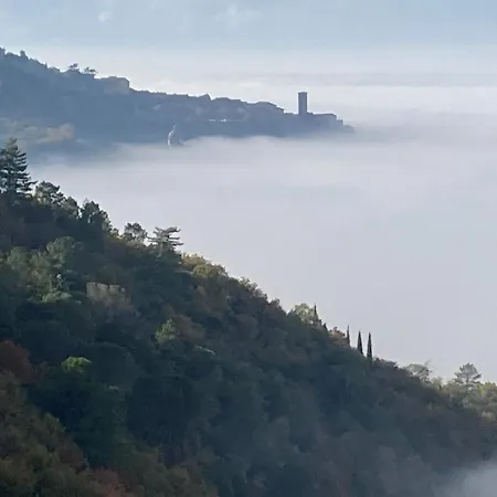 Cortona's Rooftop Nest